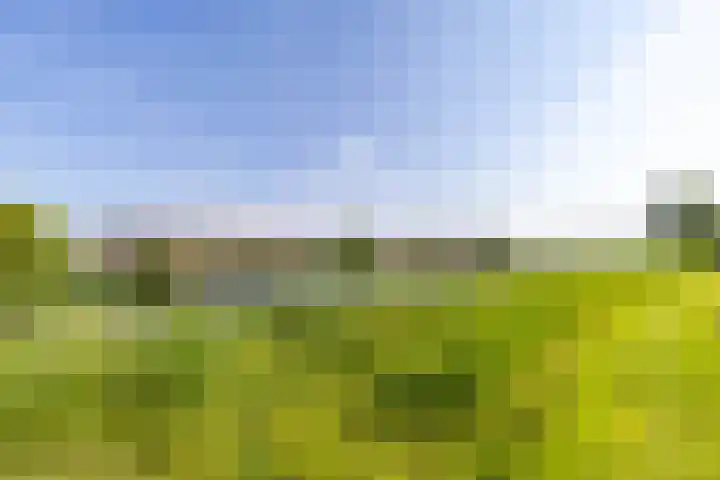 Het Var 38 Leeuwarden thumbnail 11