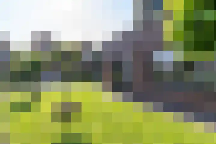 Het Var 38 Leeuwarden thumbnail 13