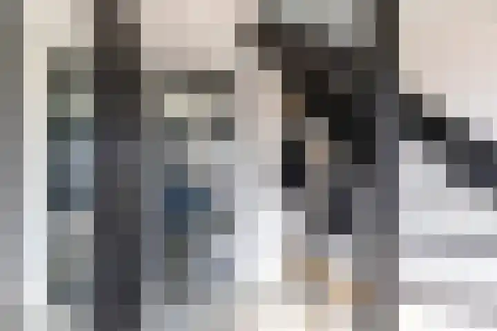 Het Var 38 Leeuwarden thumbnail 20