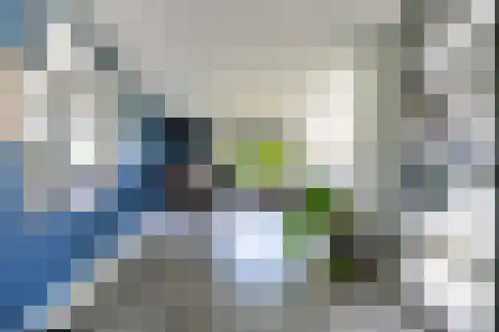 Het Var 38 Leeuwarden thumbnail 24