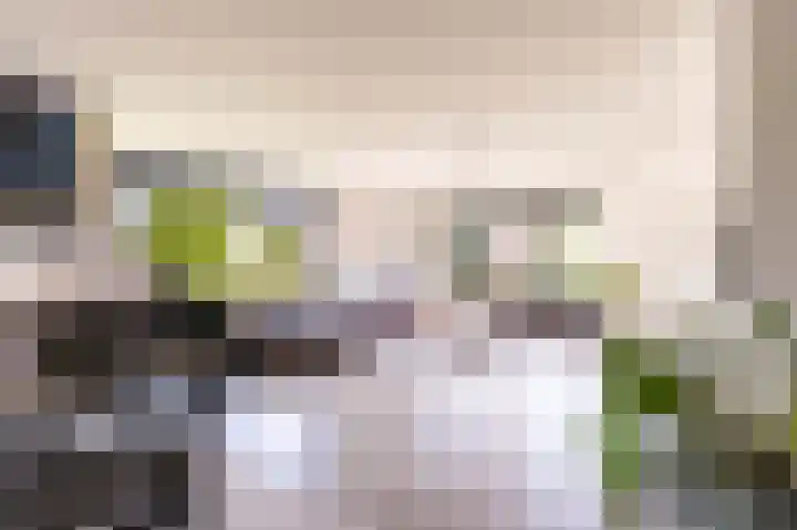 Het Var 38 Leeuwarden thumbnail 25