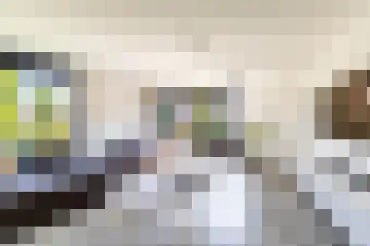 Het Var 38 Leeuwarden thumbnail 26