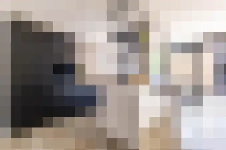 Het Var 38 Leeuwarden thumbnail 32