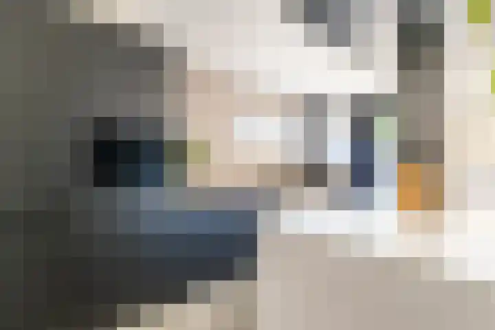 Het Var 38 Leeuwarden thumbnail 33