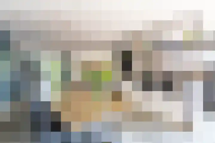 Het Var 38 Leeuwarden thumbnail 38