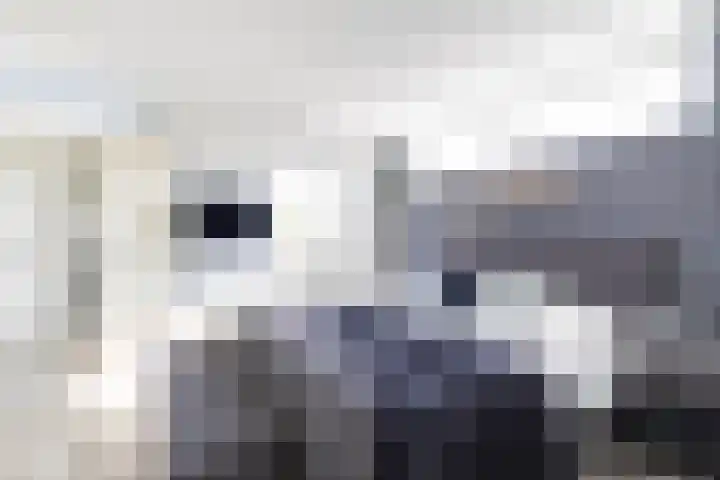 Het Var 38 Leeuwarden thumbnail 4