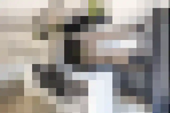 Het Var 38 Leeuwarden thumbnail 40