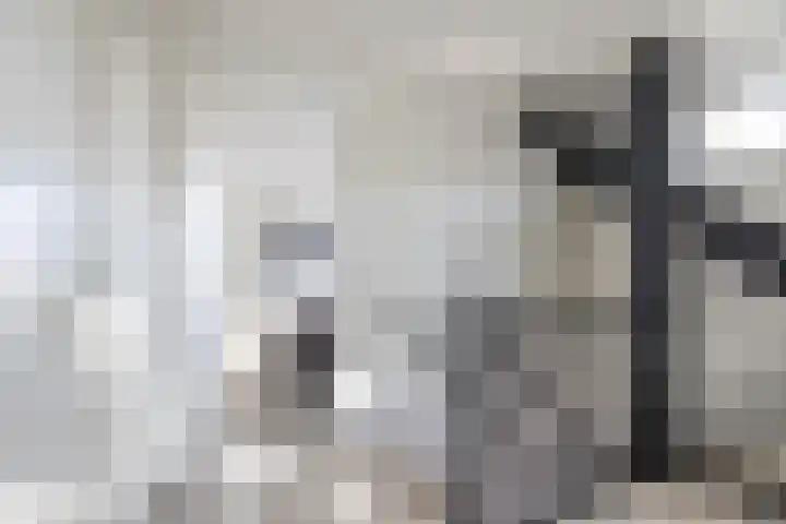 Het Var 38 Leeuwarden thumbnail 41