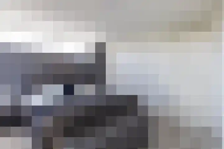 Het Var 38 Leeuwarden thumbnail 46