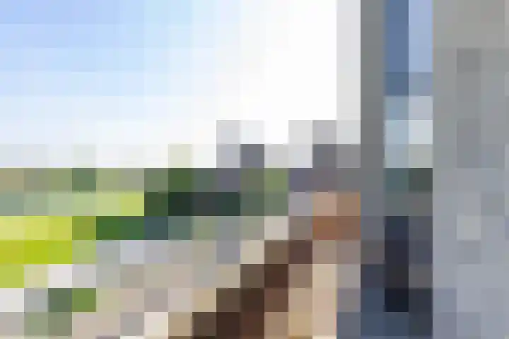 Het Var 38 Leeuwarden thumbnail 48