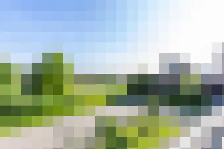 Het Var 38 Leeuwarden thumbnail 49