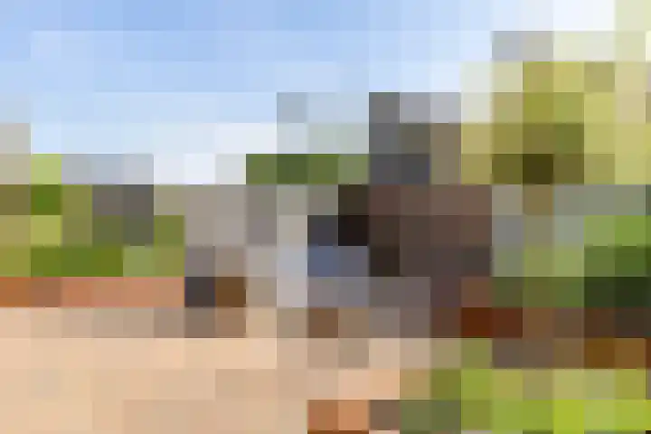 Het Var 38 Leeuwarden thumbnail 5