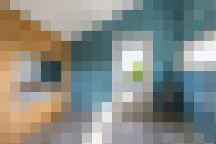 Het Var 38 Leeuwarden thumbnail 60