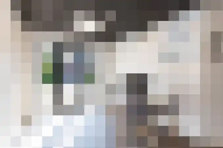 Het Var 38 Leeuwarden thumbnail 68