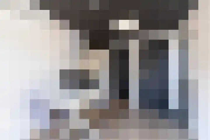 Het Var 38 Leeuwarden thumbnail 69