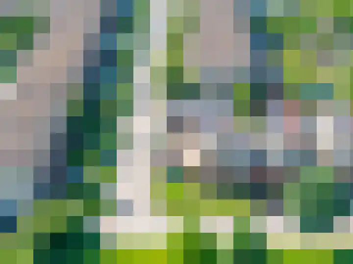 Het Var 38 Leeuwarden thumbnail 77