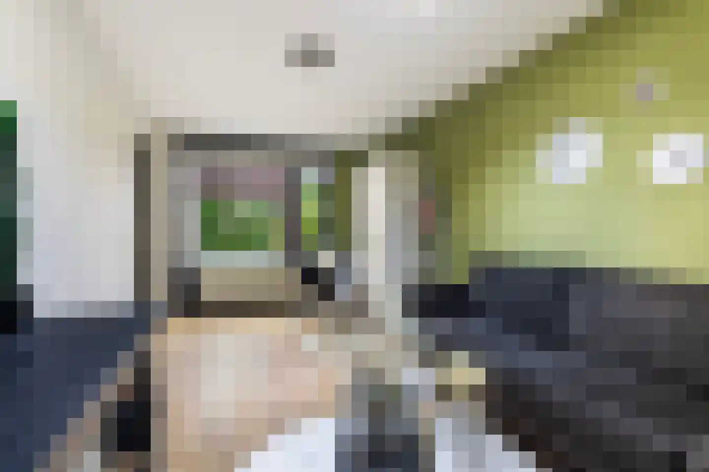 Het Var 41 Leeuwarden thumbnail 10