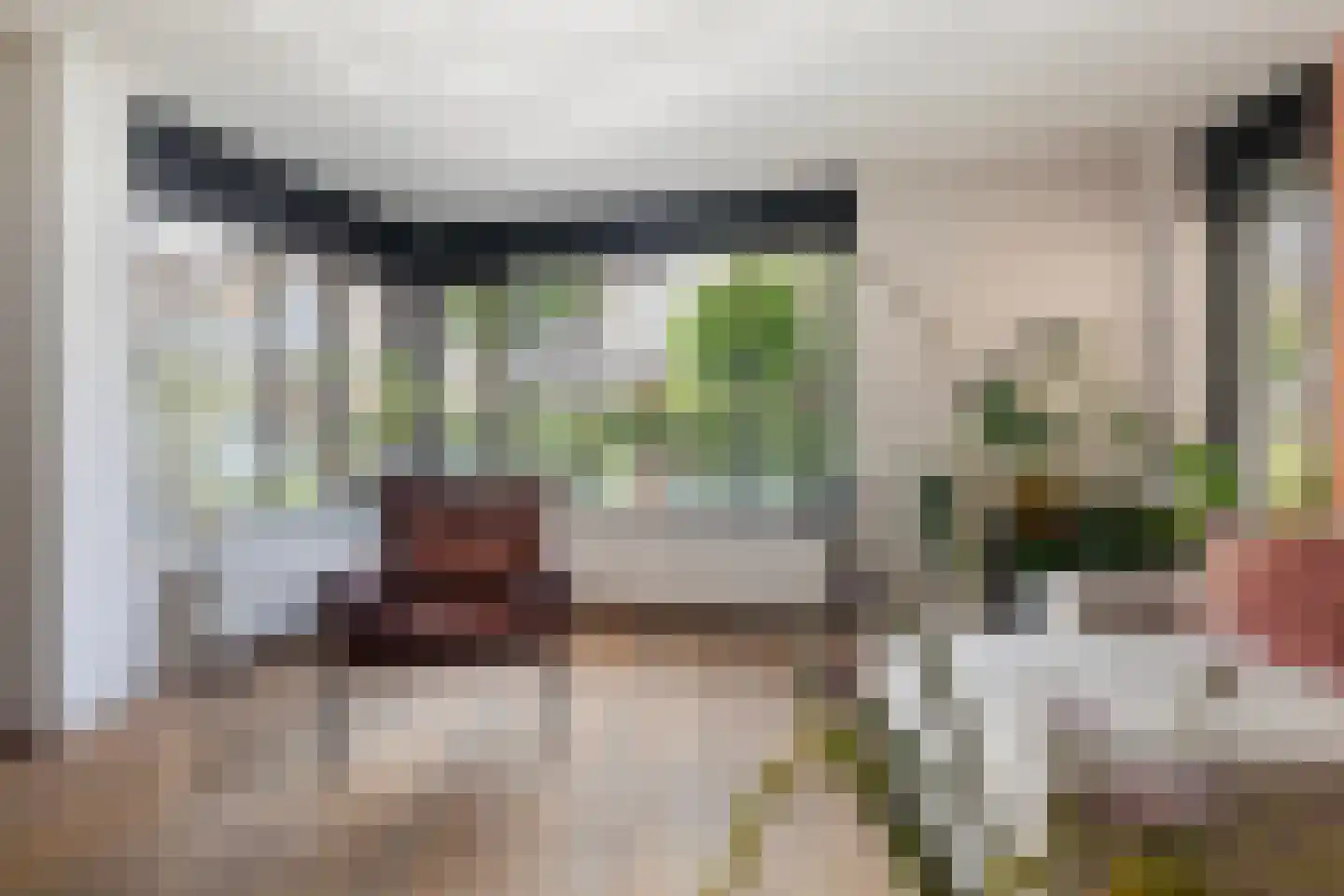 Het Var 41 Leeuwarden thumbnail 12