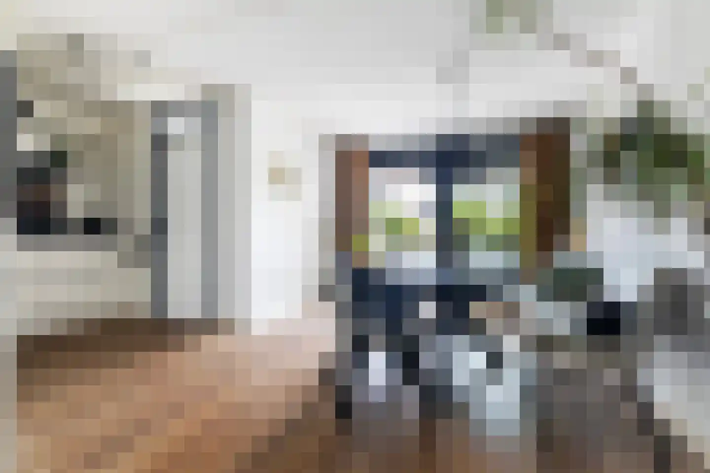 Het Var 41 Leeuwarden thumbnail 18