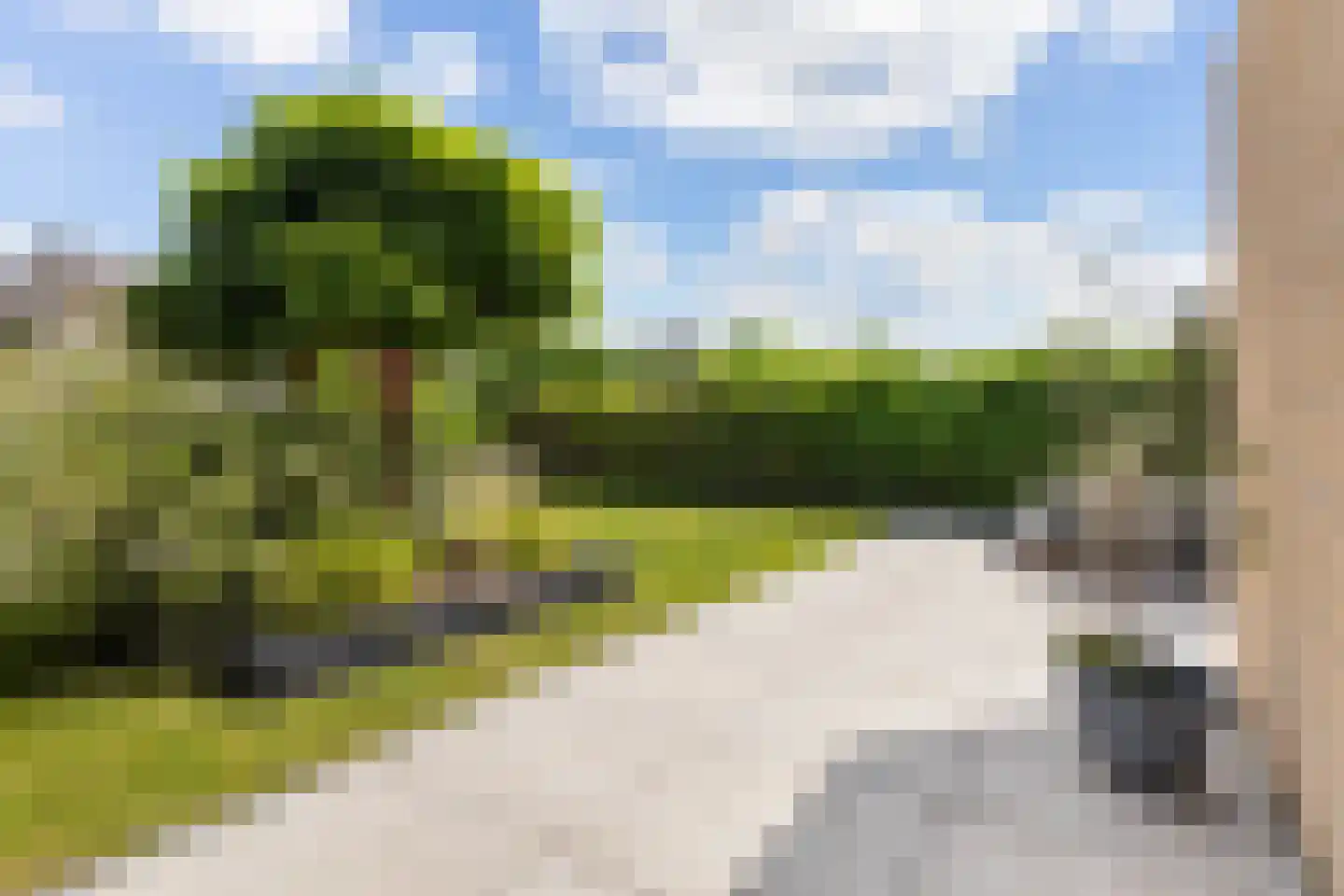 Het Var 41 Leeuwarden thumbnail 22