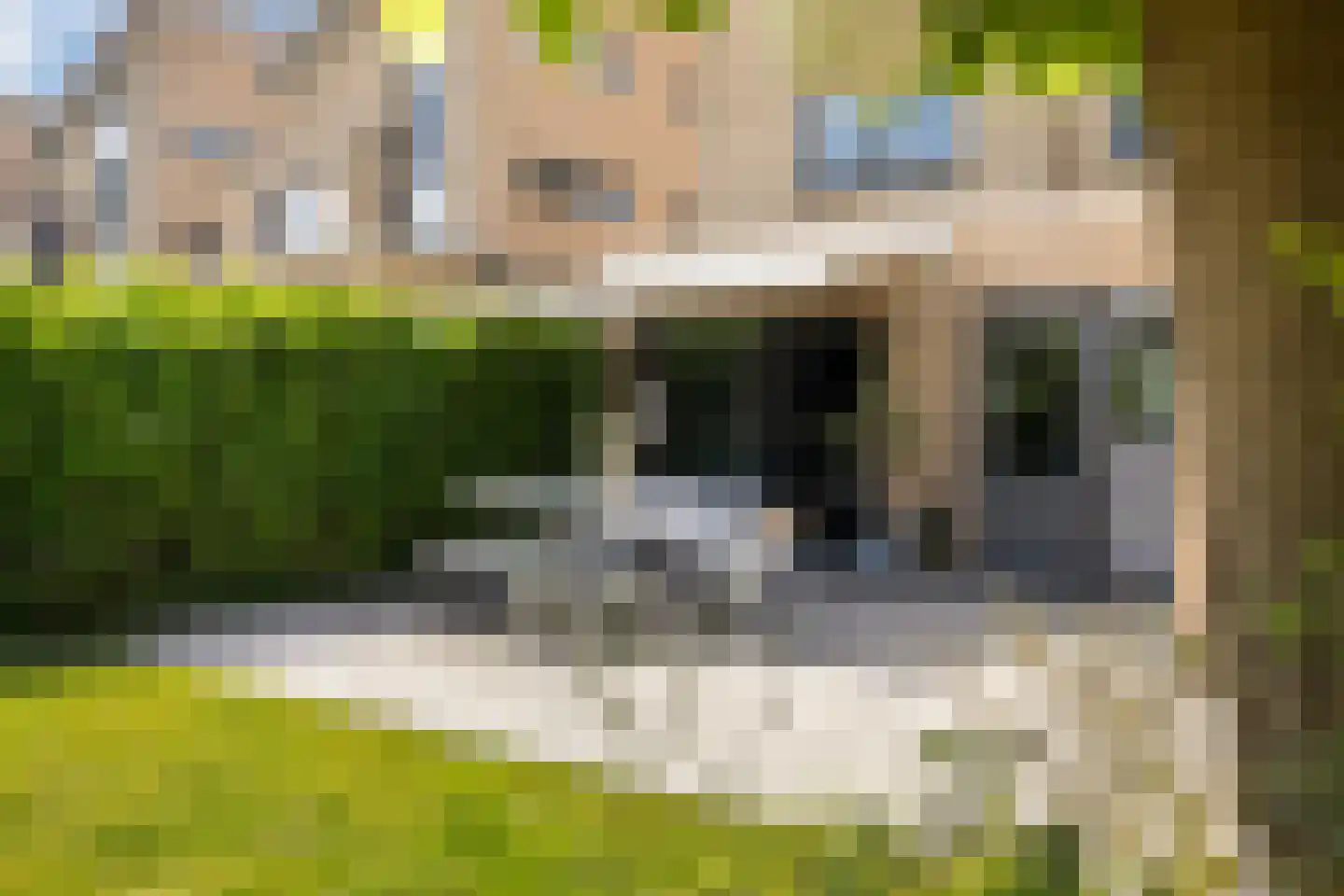 Het Var 41 Leeuwarden thumbnail 23