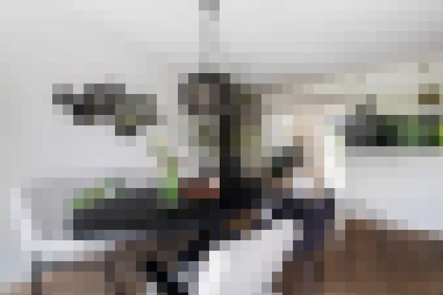 Het Var 41 Leeuwarden thumbnail 30