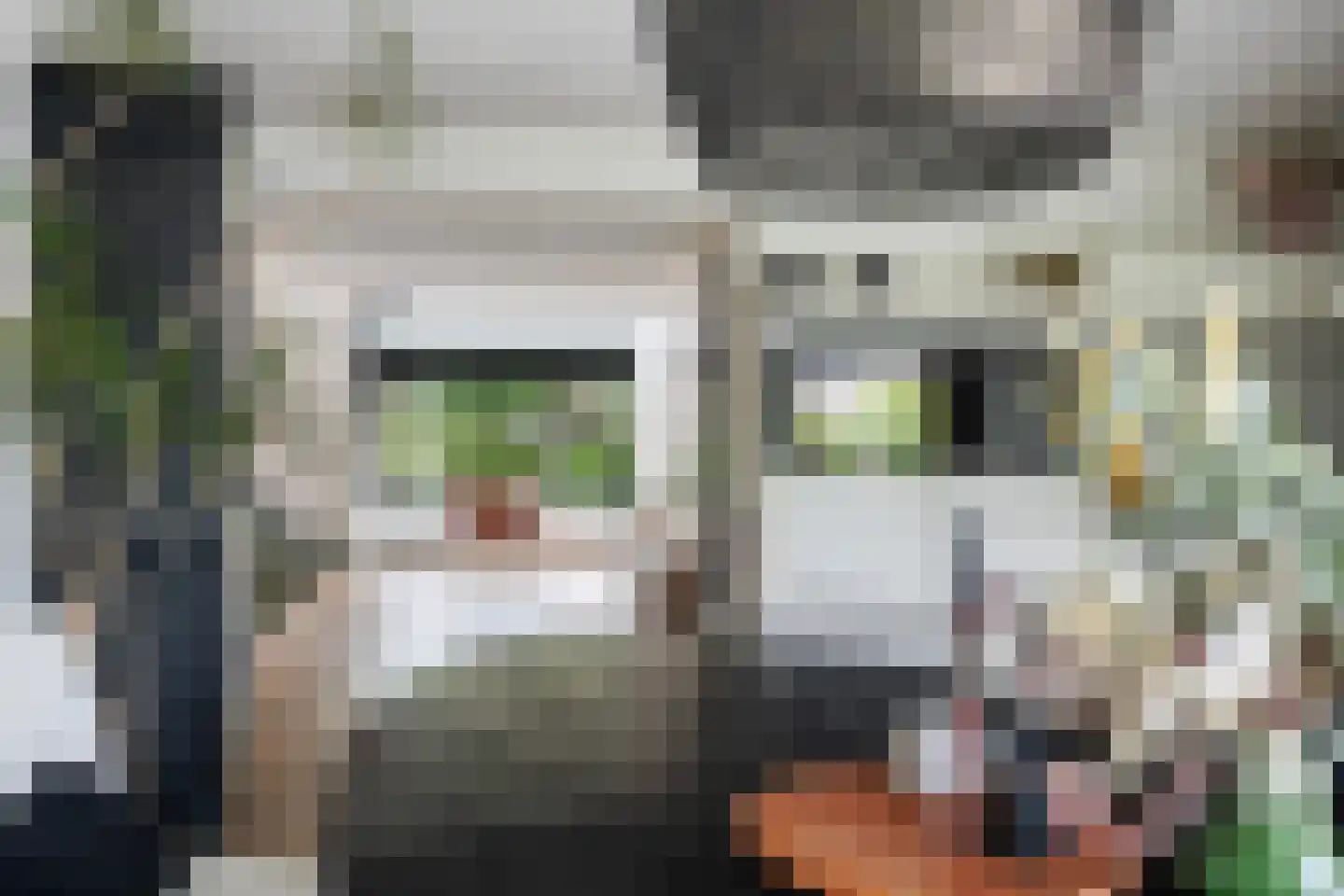 Het Var 41 Leeuwarden thumbnail 31