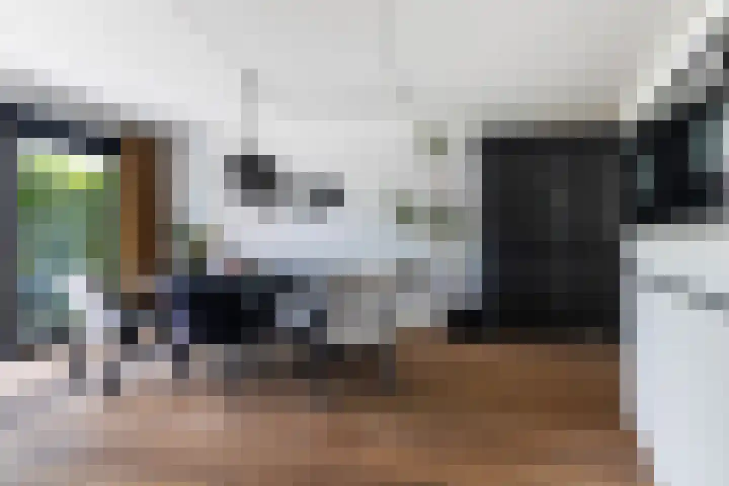 Het Var 41 Leeuwarden thumbnail 32