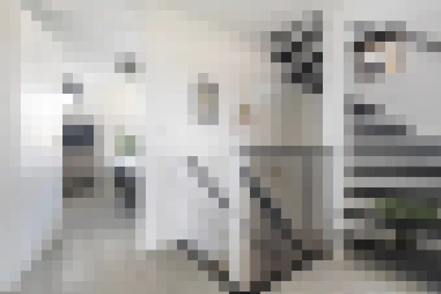 Het Var 41 Leeuwarden thumbnail 37