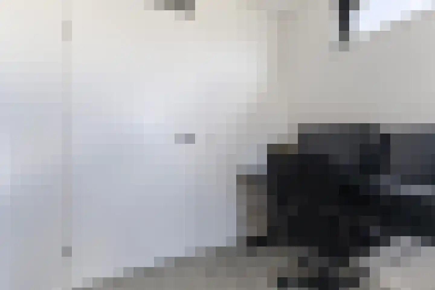 Het Var 41 Leeuwarden thumbnail 47
