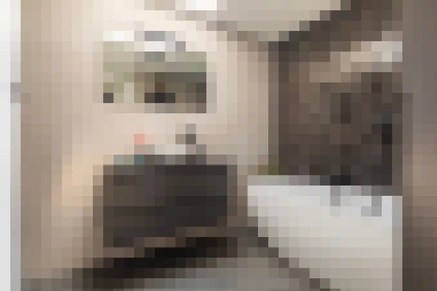 Het Var 41 Leeuwarden thumbnail 52