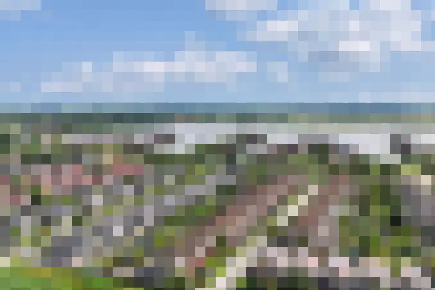 Het Var 41 Leeuwarden thumbnail 62