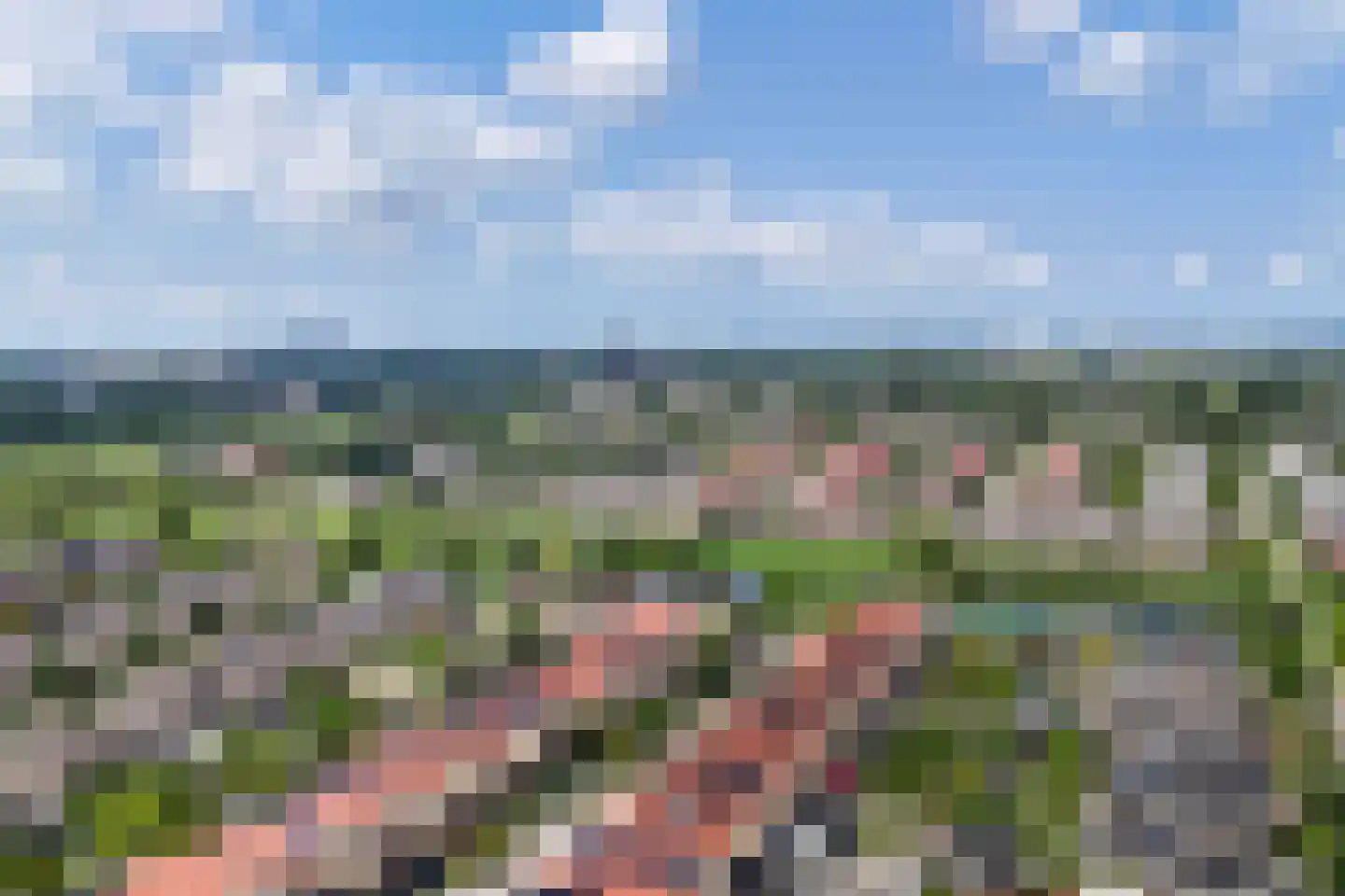 Het Var 41 Leeuwarden thumbnail 63