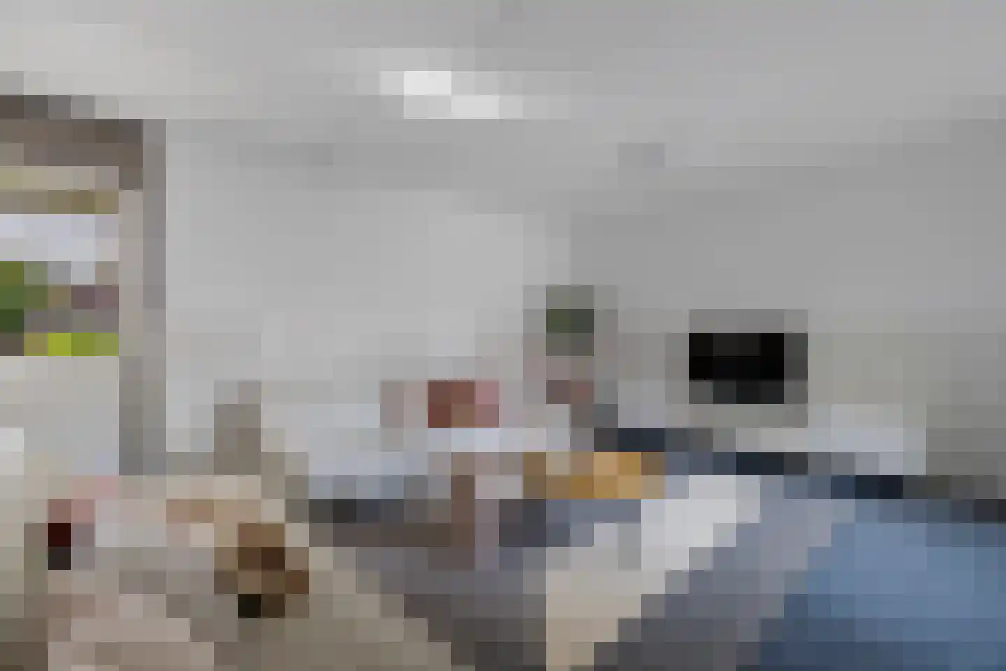 Het Var 58 Leeuwarden thumbnail 17