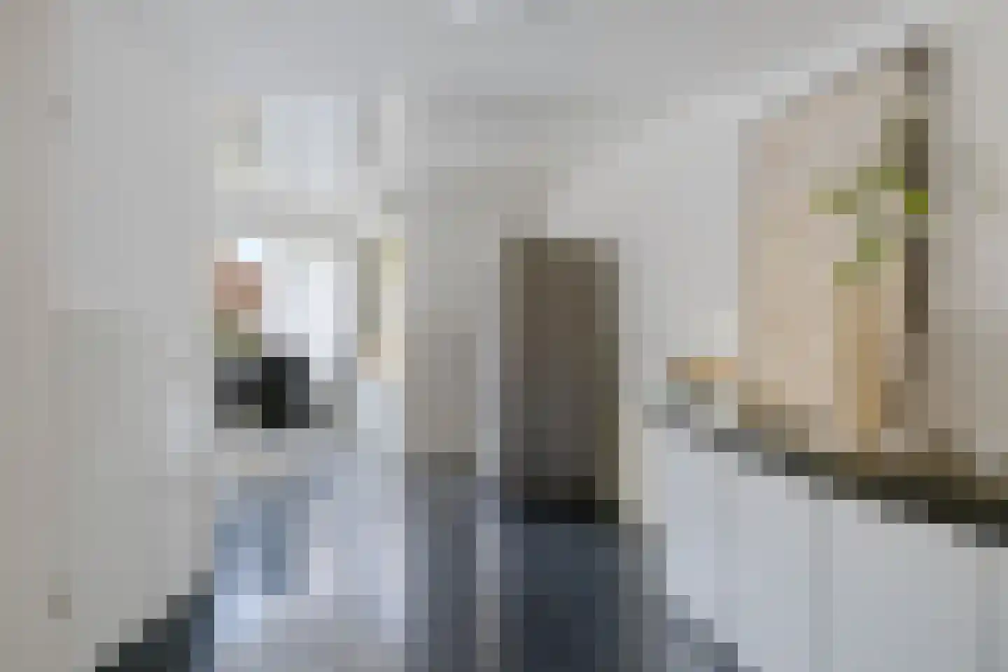 Het Var 58 Leeuwarden thumbnail 23