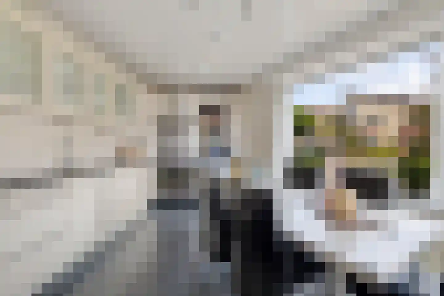Het Var 58 Leeuwarden thumbnail 28
