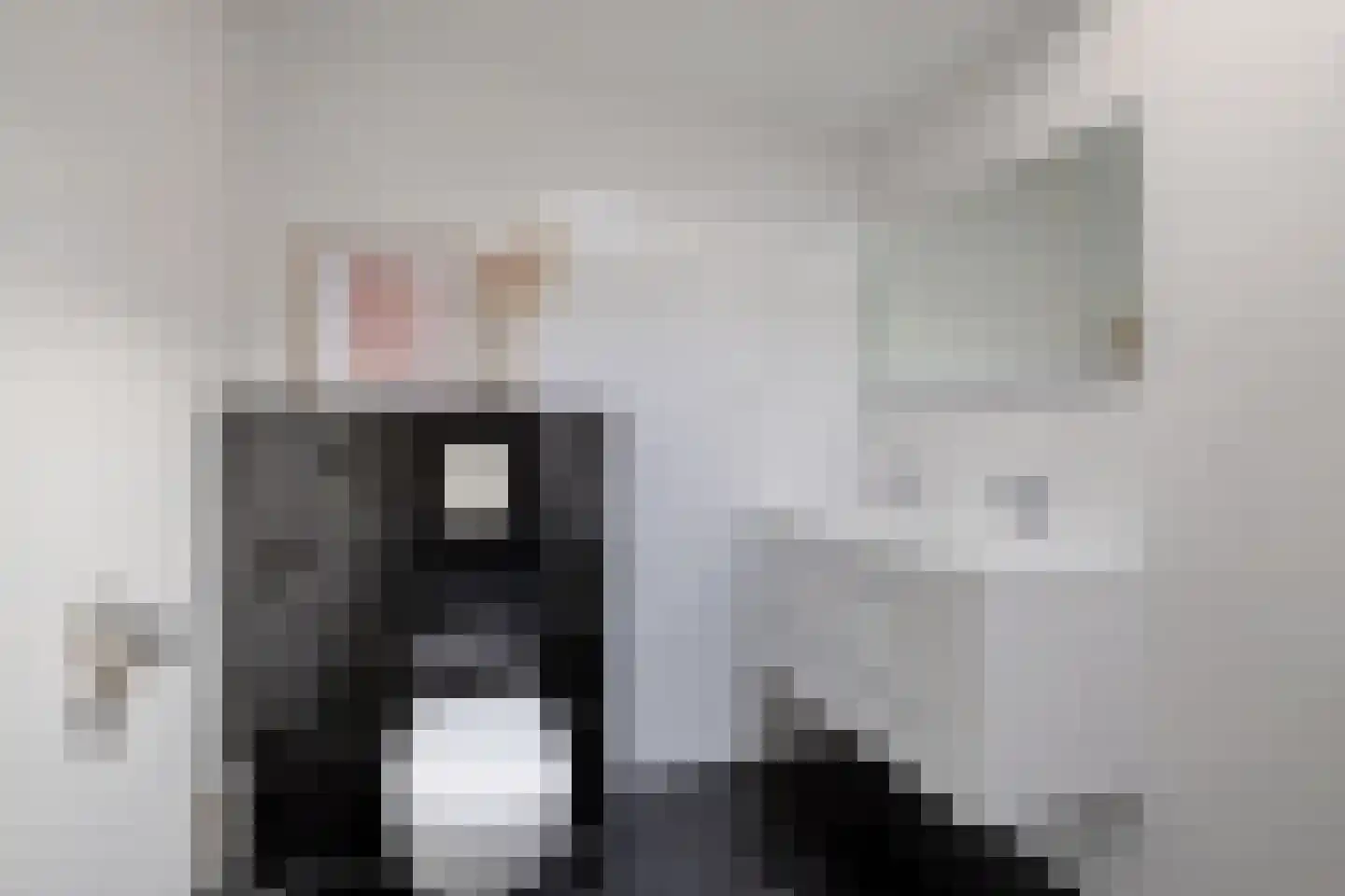 Het Var 58 Leeuwarden thumbnail 34