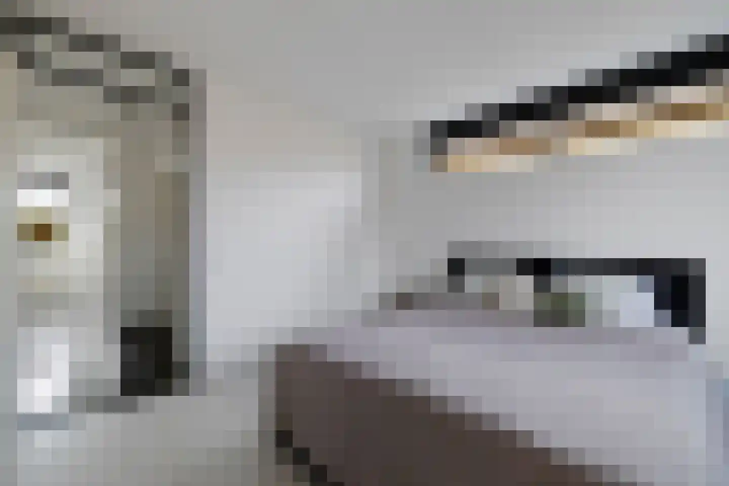 Het Var 58 Leeuwarden thumbnail 42