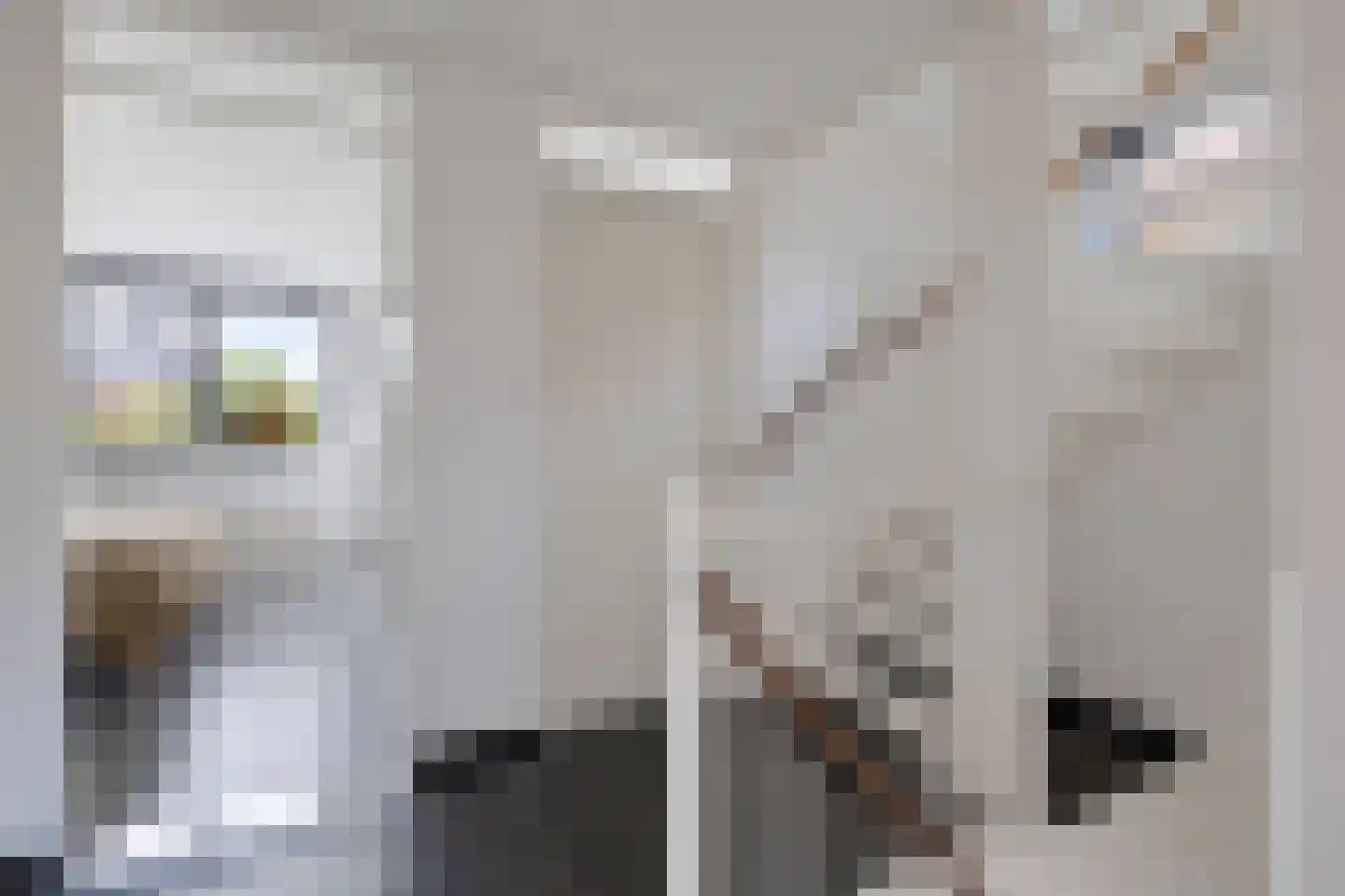 Het Var 58 Leeuwarden thumbnail 43