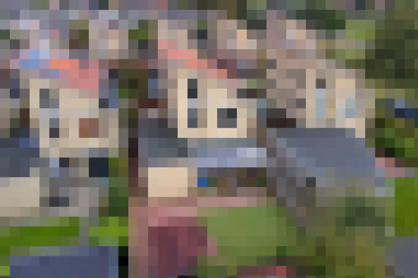 Het Var 58 Leeuwarden thumbnail 56