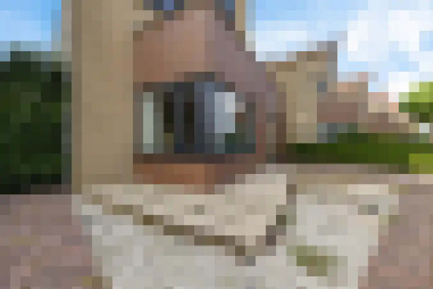 Het Var 58 Leeuwarden thumbnail 8