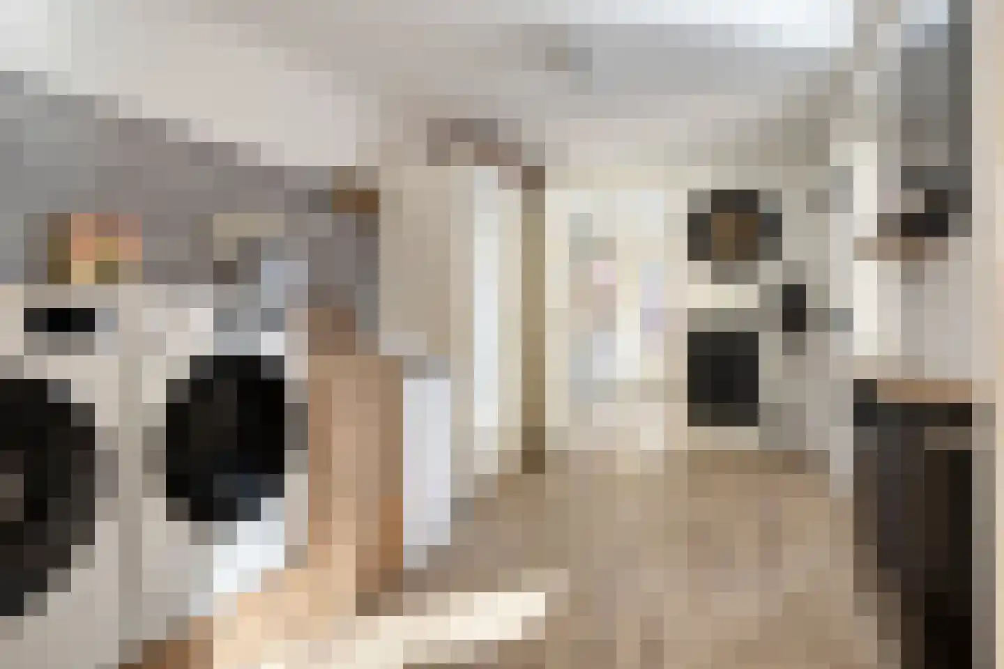 Het Veen 15 Lichtenvoorde thumbnail 18