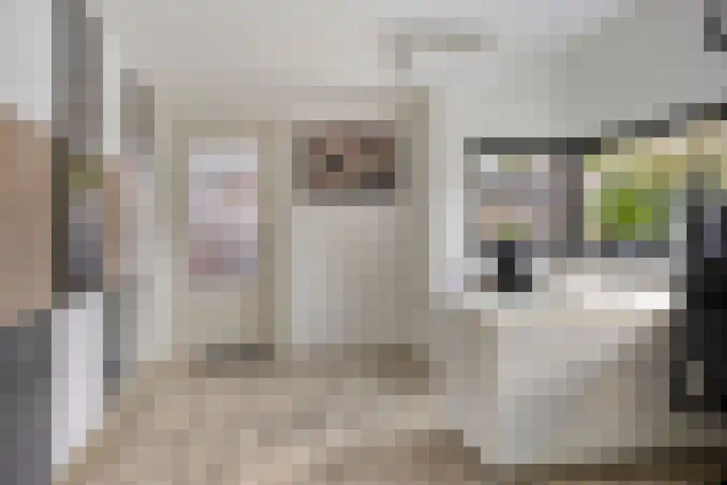 Het Veen 15 Lichtenvoorde thumbnail 20