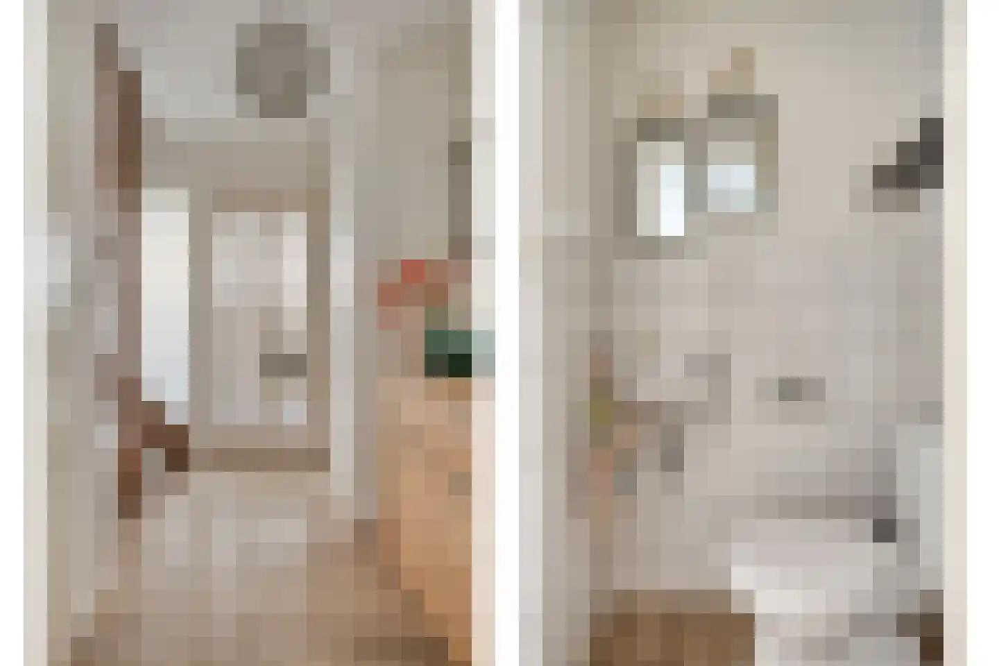 Het Veen 15 Lichtenvoorde thumbnail 21