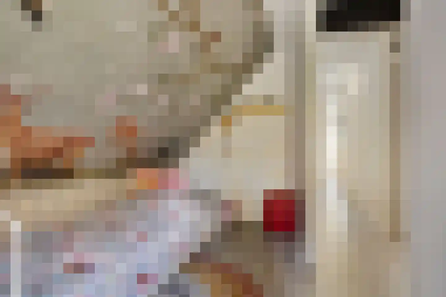 Het Veen 15 Lichtenvoorde thumbnail 25
