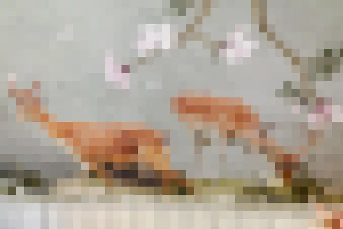 Het Veen 15 Lichtenvoorde thumbnail 26