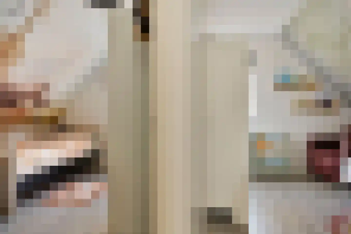 Het Veen 15 Lichtenvoorde thumbnail 27