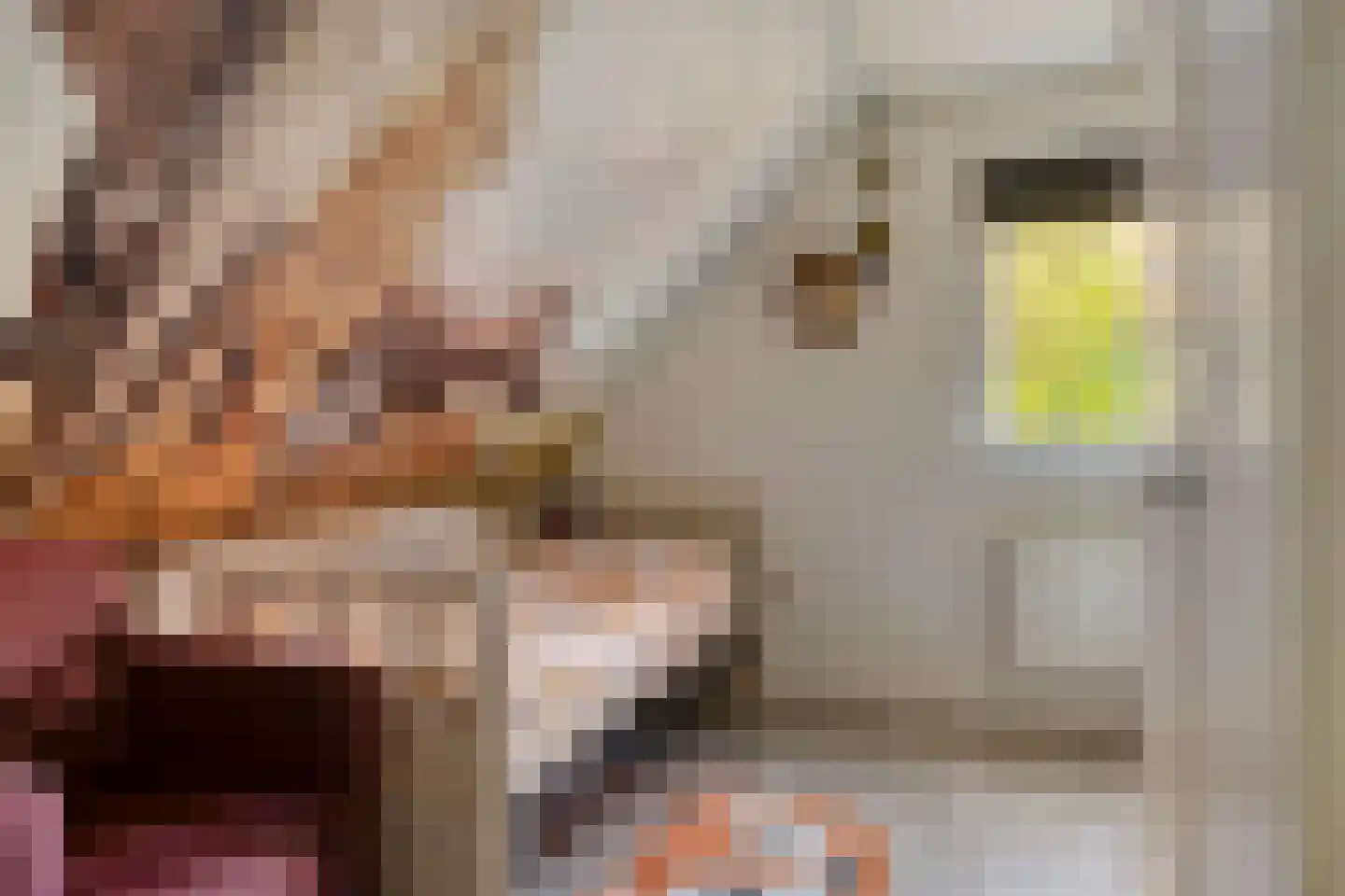 Het Veen 15 Lichtenvoorde thumbnail 28