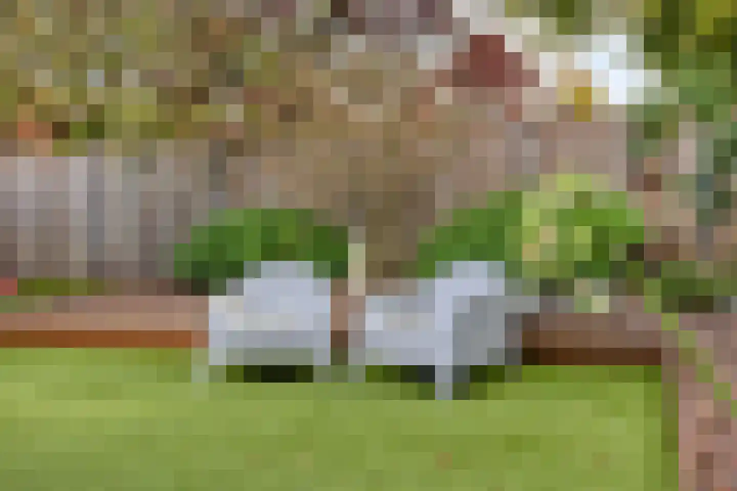 Het Veen 15 Lichtenvoorde thumbnail 37