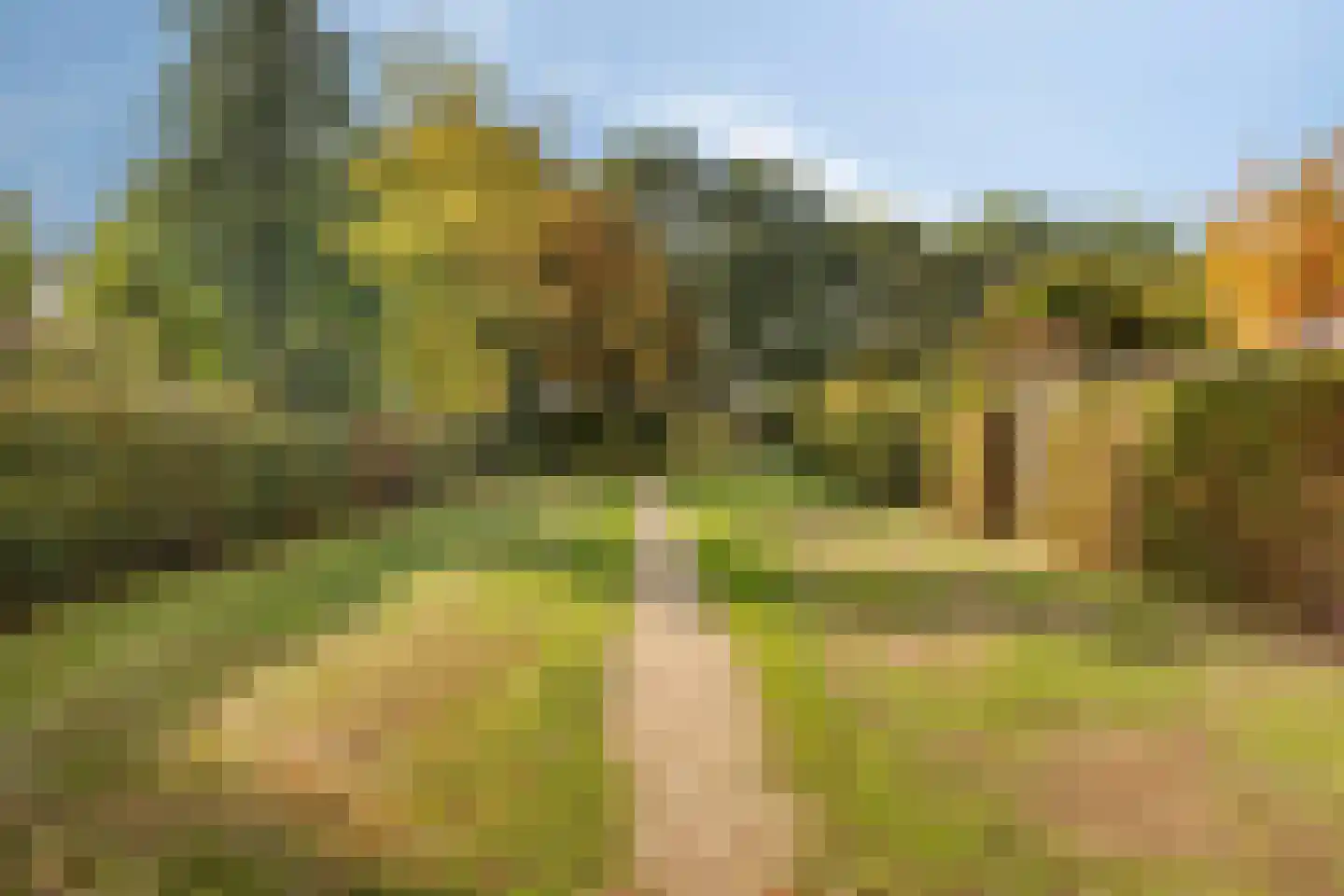 Het Veen 15 Lichtenvoorde thumbnail 41